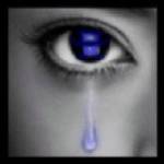 oeil