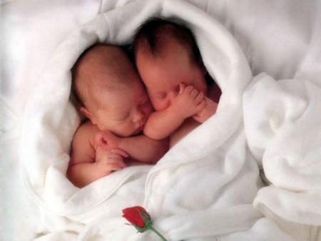 bb anne geddes