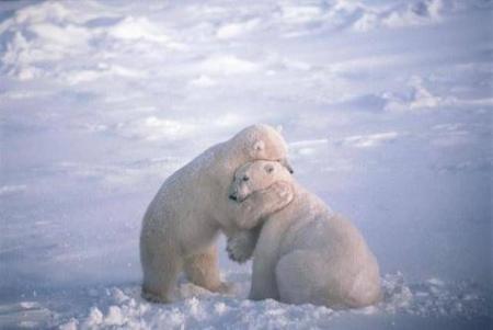 calin