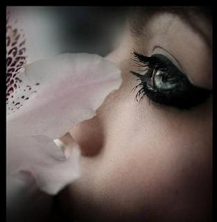 regard